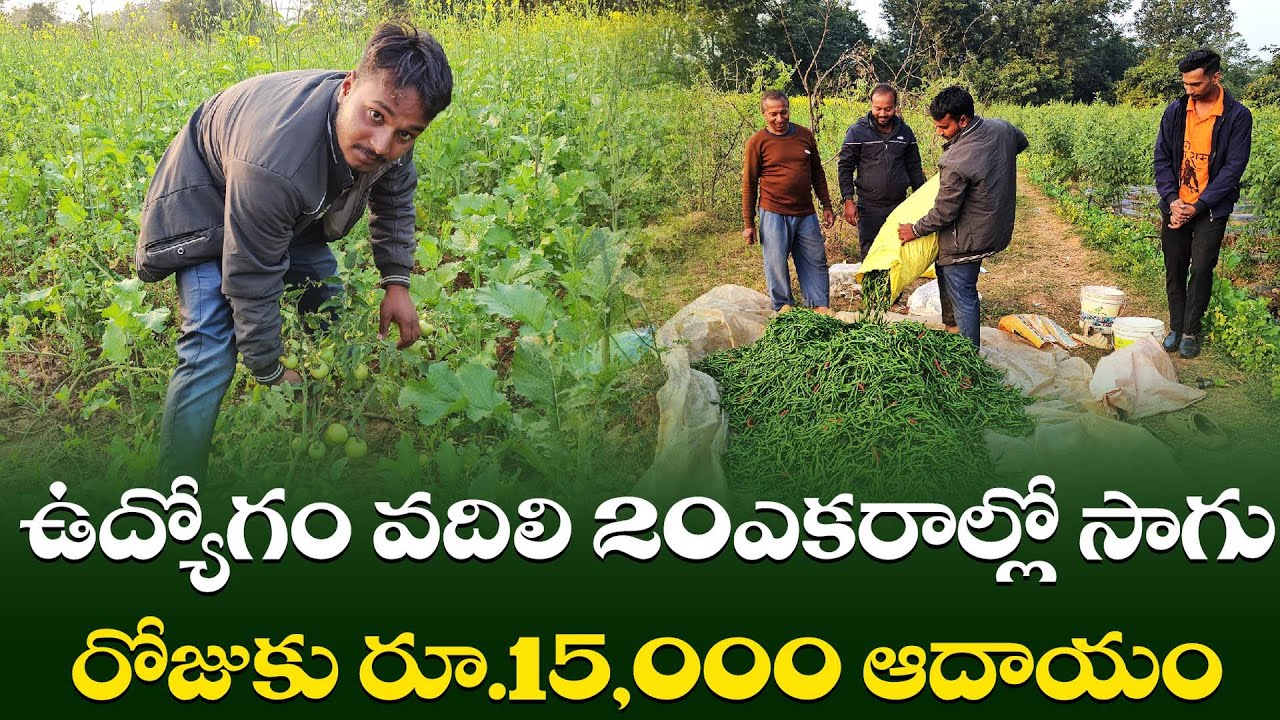 Jharkhand Engineer Turns Farmer | Earns ₹10–15K Daily with Modern Agriculture || Yuva