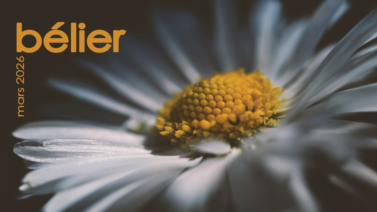 BELIER - Mars 2026 ~ On tourne autour du pot !