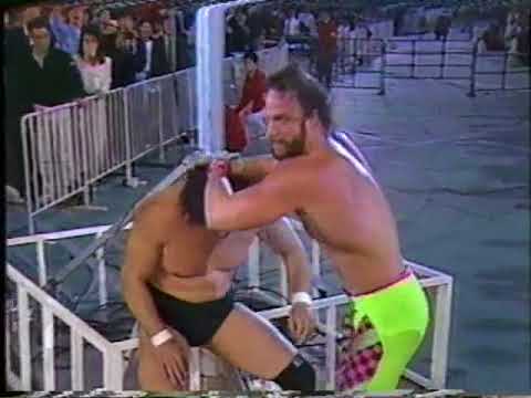 Randy Savage vs. Genichiro Tenryu - Wrestling Summit - YouTube