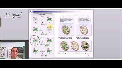 Extranuclear Inheritance