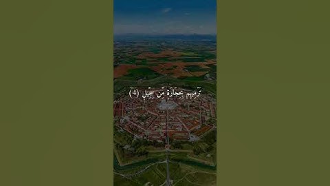 سورة الفيل بصوت الشيخ القارئ احمد العجمي.... ♥️💙