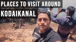 Kodaikanal - Beauty of Kodai in 3 Mins