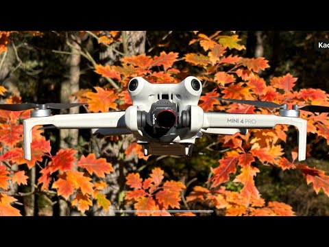 DJI Mini 4