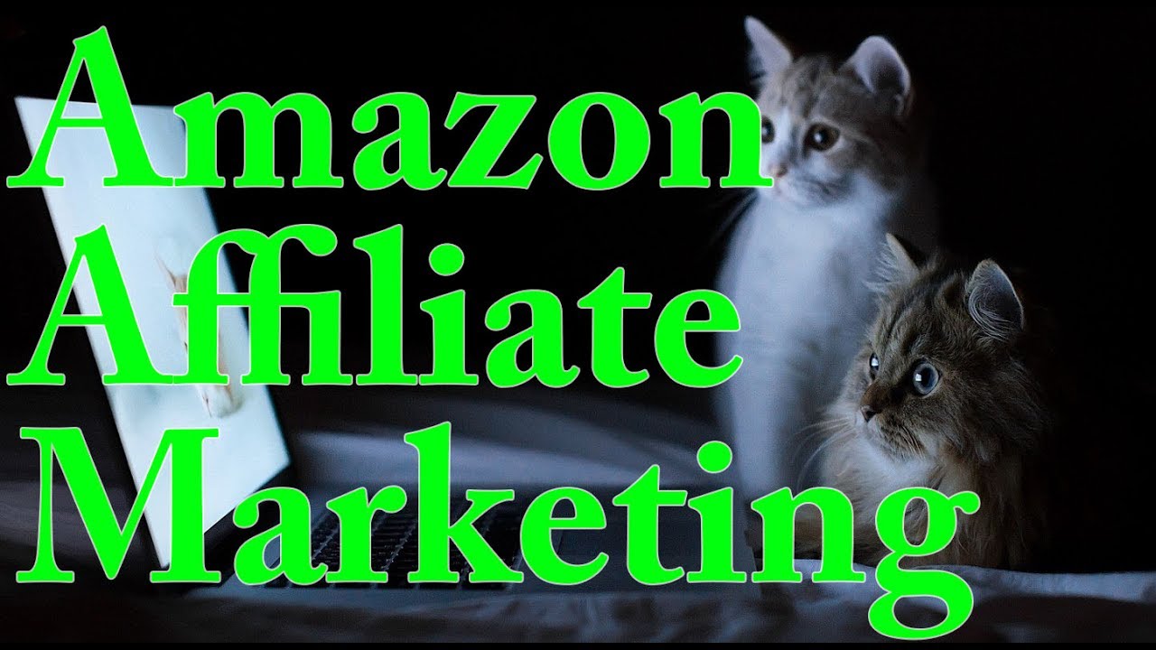 Amazon Affiliate Marketing For Beginners - YouTube