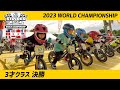 ストライダーカップ2023 ワールドチャンピオンシップ 3才決勝レース【STRIDER CUP公式VIDEO】