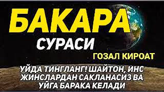 🔊 Бакара Сураси! Уйга Шайтон Кирмайди Ва Барака Ёгилади Ин Ша Аллах