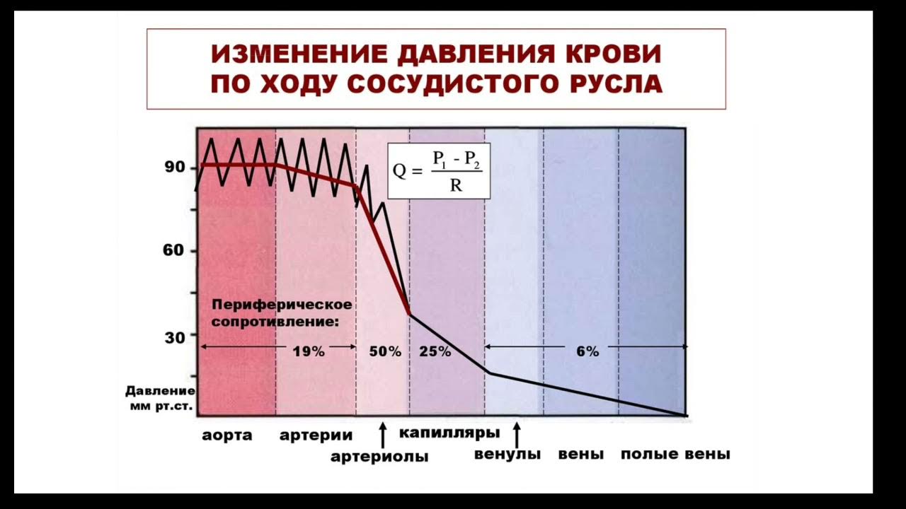 Какова зависимость изменения давления крови