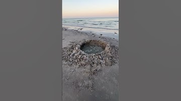 PROTECT OUR SEA TURTLES 🐢 #seaturtles #conservation #beach #sandcastle #plasticpollution