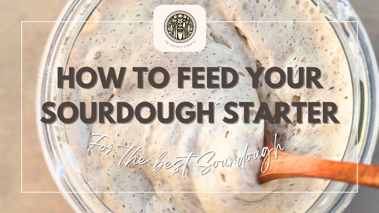 How to Feed Your Sourdough Starter
