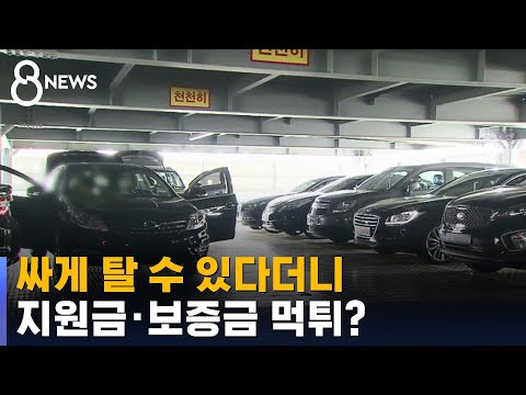 싸게 탈 수 있다더니…지원금 · 보증금 먹튀? / SBS