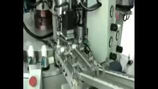Full Automatic Bottle Cap Assembling Machine Wealth