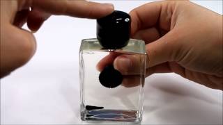 Ferrofluid in a bottle - from gyroscope.com
