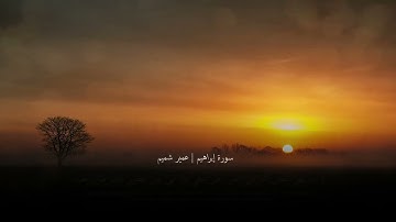 إبداع منقطع النظير للقارئ عمير شميم في سورة ابراهيم | أعذب صوت فى العالم | Dua of Ibrahim AS