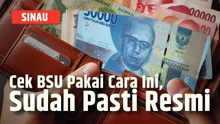 BSU Kapan Cair? Ini Cara Aman Cek BSU 2025 | SINAU