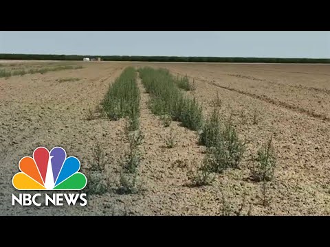 Extreme Drought In Northeast Fueled By Climate Change
