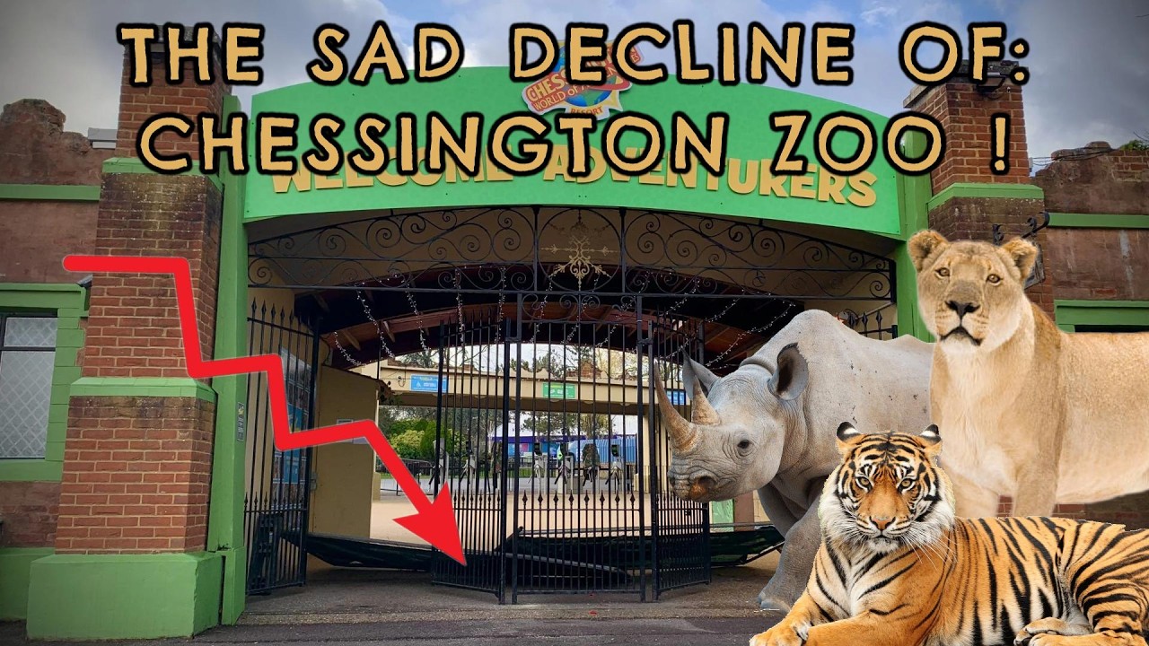 The Sad Decline of Chessington Zoo !!