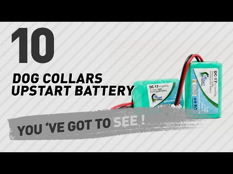 dog-collars-upstart-battery-//-top-10-most-popular