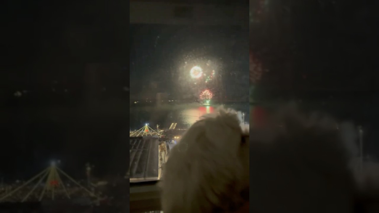 Kyle rings in the New Year under a sky full of colour as the fireworks explode overhead