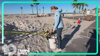 'Everything you do matters': Passion meets purpose to cleanup Madeira Beach