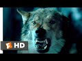 Alpha 2018  sabretooth attack scene 810  movieclips