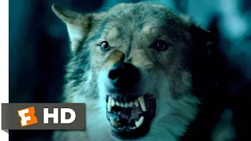 Alpha (2018) - Sabretooth Attack Scene (8/10) | Movieclips