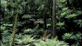 Giant crocodiles Walking with Dinosaurs in HQ BBC