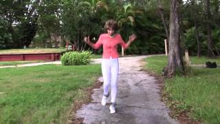 Guile Theme Goes With Anything - Prancercise