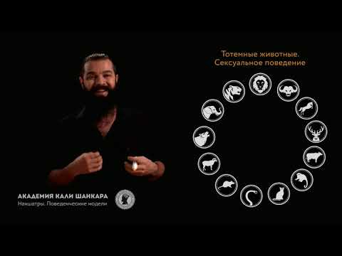 Кали Шанкар Астролог