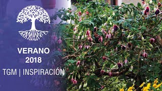 Verano 2018 - The Garden Molleda Inspiración