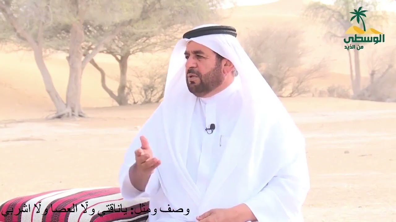 يا ناقتي ولا العصا ولا اشربي