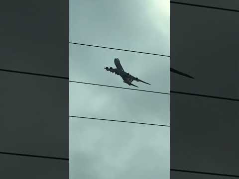 Soon I Will Be Flying Again Viral 
