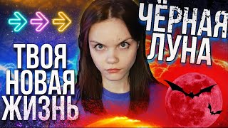 4 ЗНАКА ЗОДИАКА И ЧЁРНАЯ ЛУНА // ЖИЗНЬ НЕ БУДЕТ ПРЕЖНЕЙ!