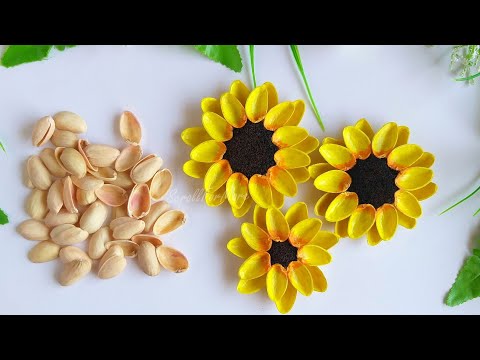 Pista Shells Craft - Sunflower |DIY  Decor