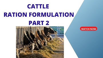 Dairy cattle ration formulation   part 2