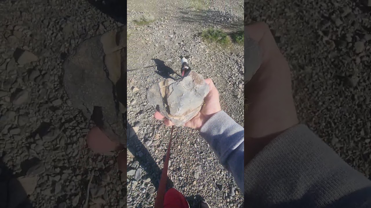 Посмотрите на это! 