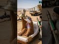 Saudi Arabia Calls U.S. for Help 😱🛡️🇸🇦🇺🇸 | Iran Tensions Explode! 🌍🔥