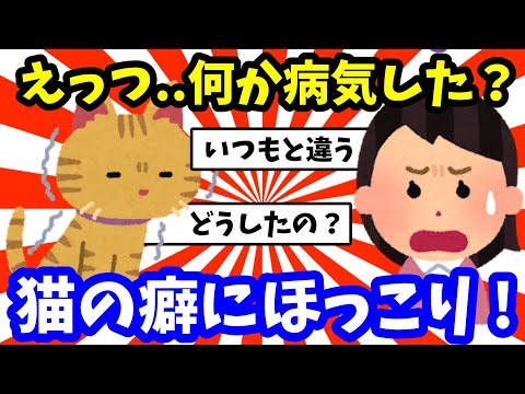 【2chほのぼの面白い】我が家の子猫がこんな事されてはもう可愛すぎるでしょwww【2ちゃんゆっくり解説】