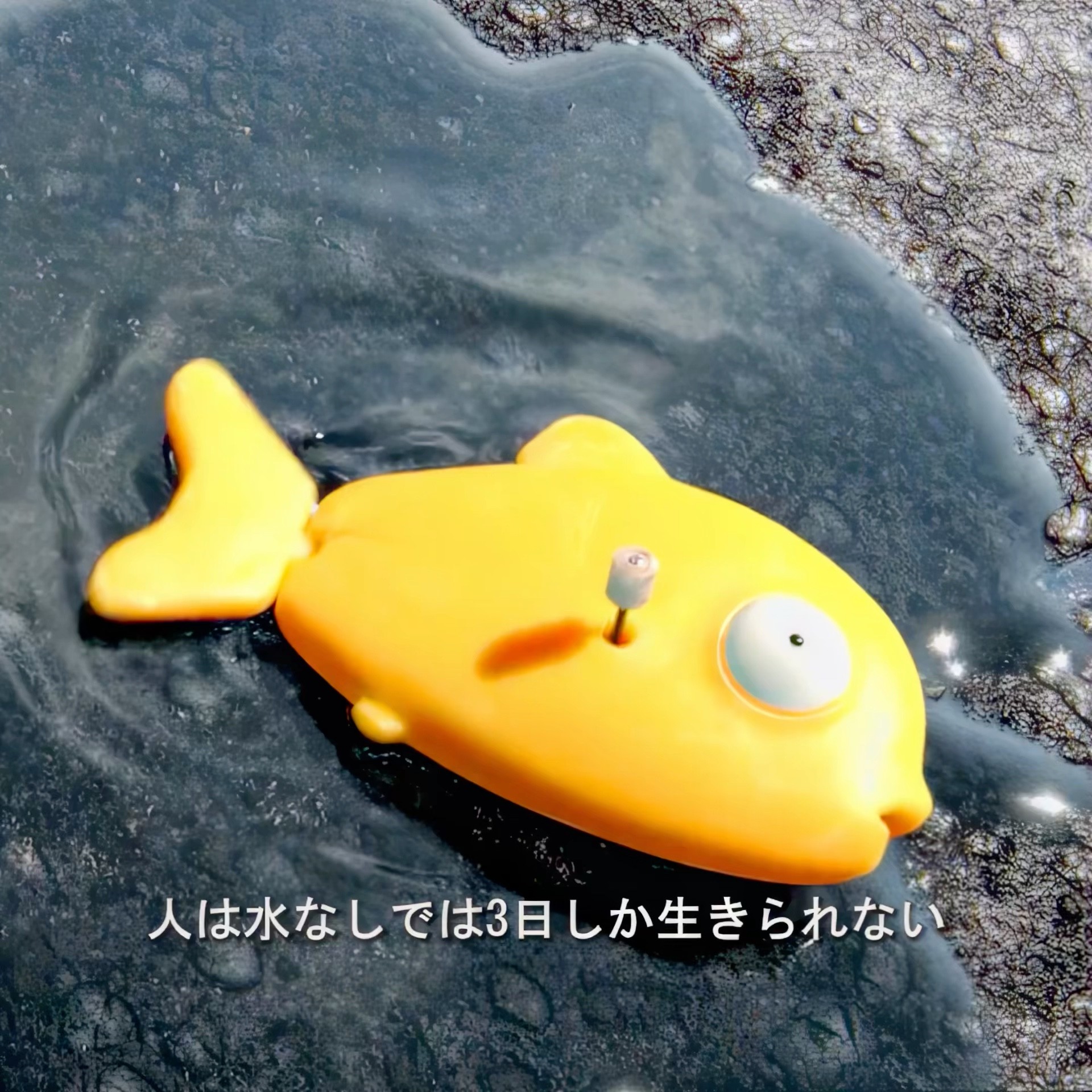映画 #funny #shorts - YouTube