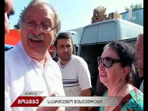 გრიგოლ ვაშაძე გურიის მცხოვრებლებს შეხვდა