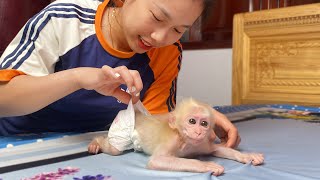 So happy 😍 Monkey Luk excited ran find mom show off get rid of constipation