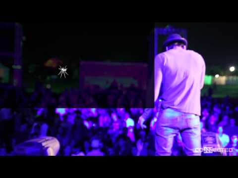 CONNECTED by Gustavo Bravetti (Mosquito part at XXXPERIENCE music festival)