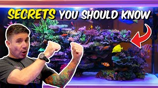 Reef Master REVEALS Unique Methods For INSANE Growth!!