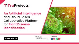 An Artificial Intelligence and Cloud Based Collaborative Platform for PlantDisease Identification