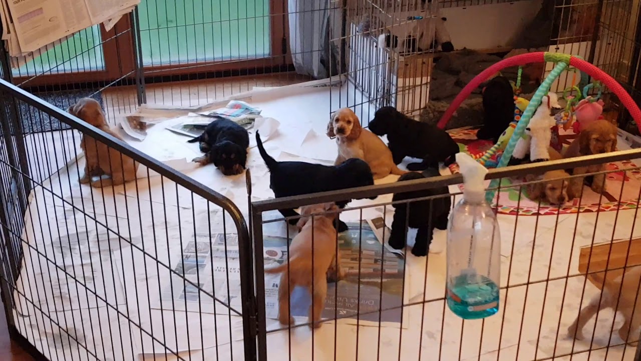 New & Homes waiting for everyone. YouTube