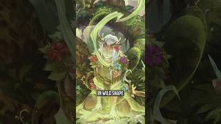 Druid Wildshape Changes #dnd #dungeonsanddragons