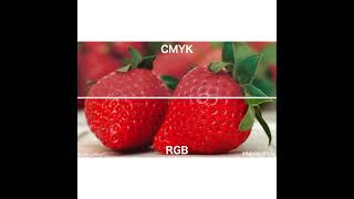 Nissha Digital Printing解説色域編