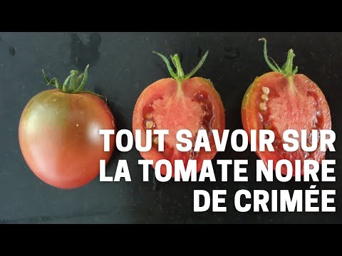 Vidéo: Les faits sur la tomate Black Krim : En savoir plus sur la culture des tomates Black Krim