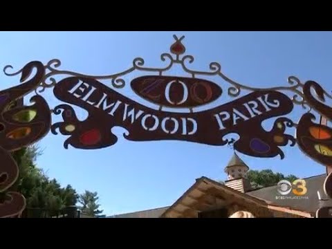 Video: Kur yra Butwood parko zoologijos sodas?