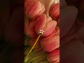 #flowers