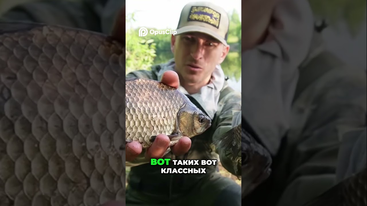 Ловим толстолоба ночью! Рыбалка в темноте: поймал карасей!